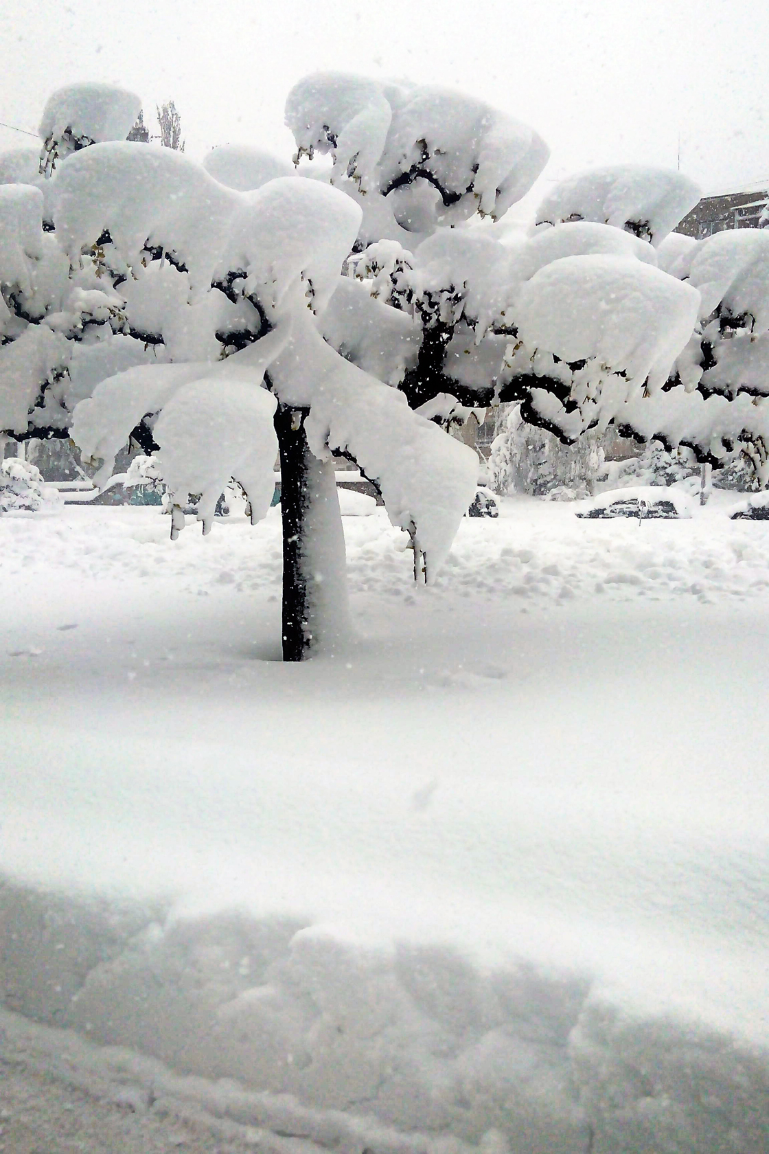 april snow in chisinau (26)