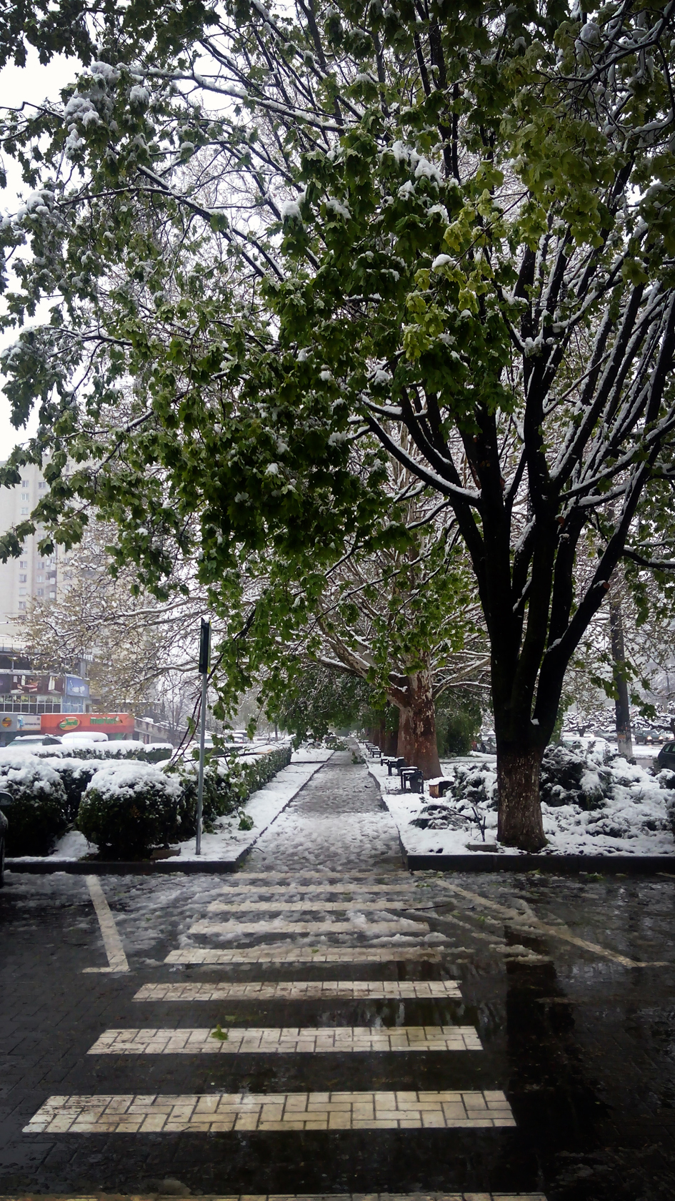 april snow in chisinau (27)