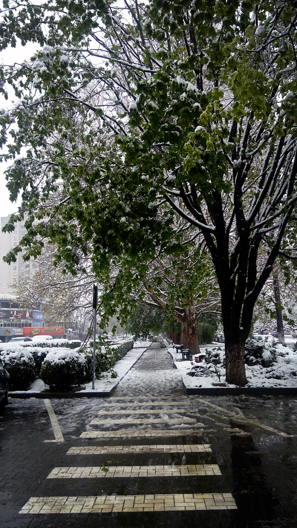 april snow in chisinau (28)