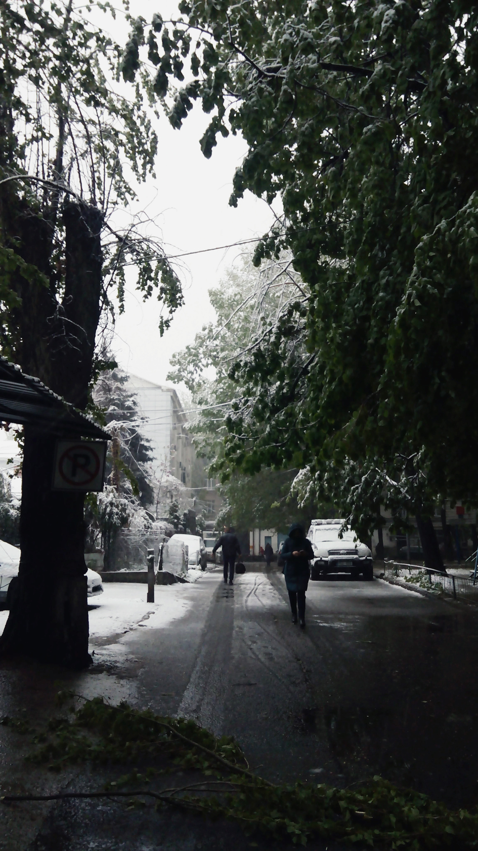 april snow in chisinau (3)