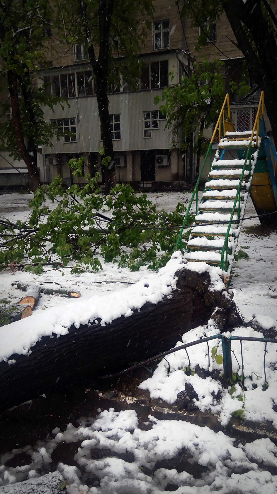 april snow in chisinau (31)