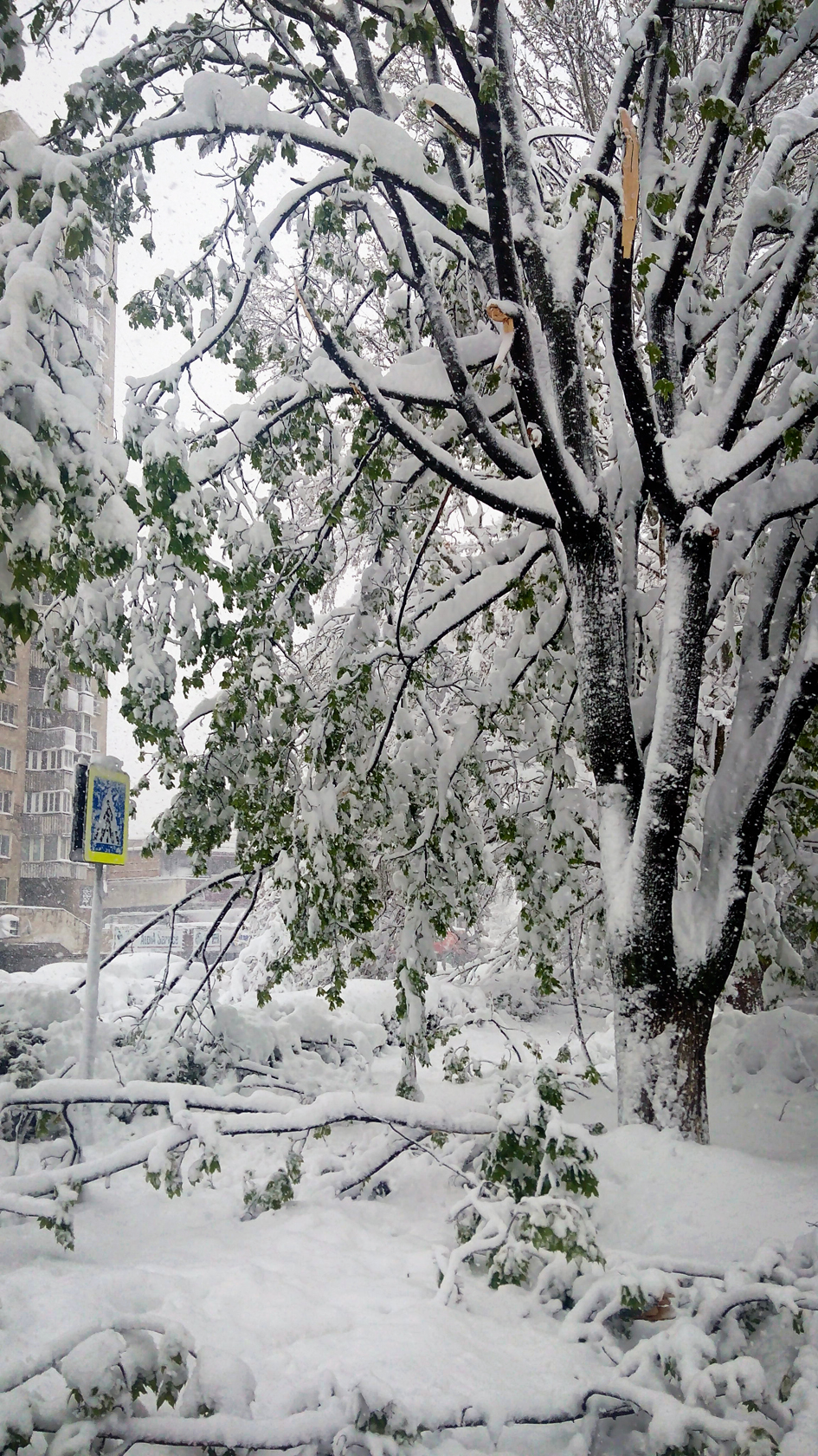 april snow in chisinau (35)