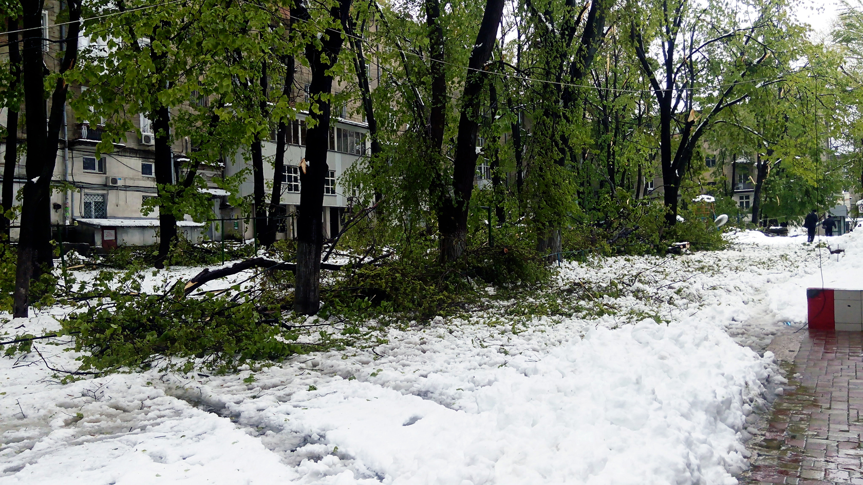 april snow in chisinau (40)