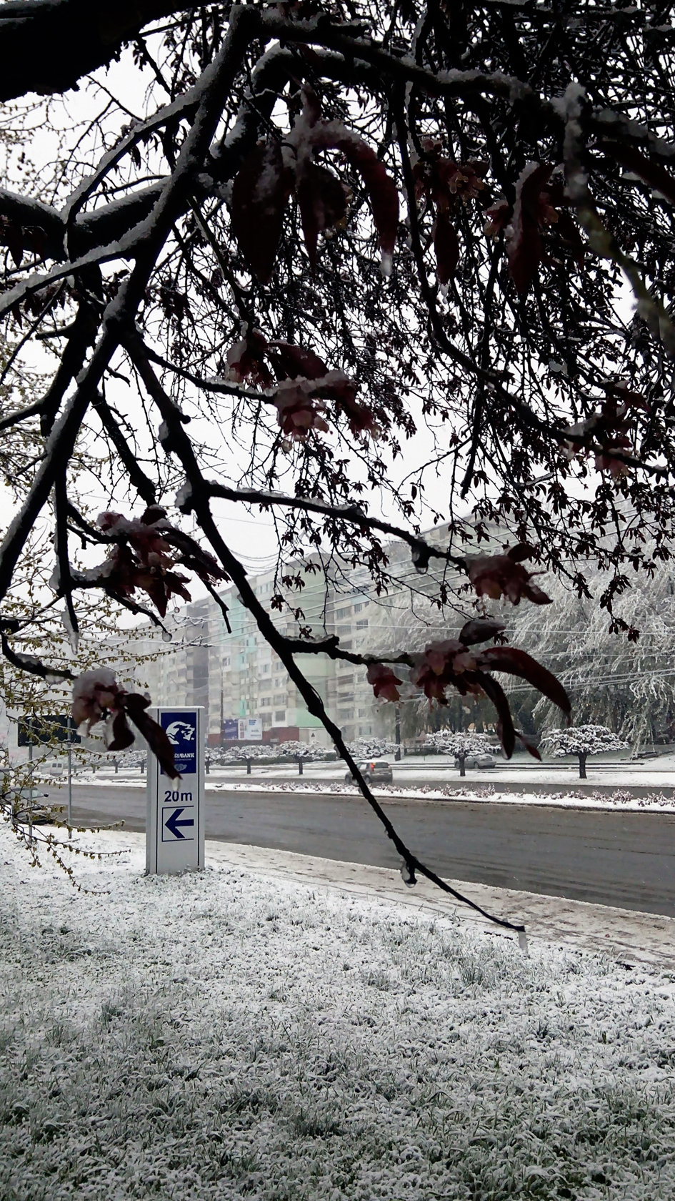 april snow in chisinau (8)