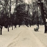Winter Alley in Central Park, Kishinev.
